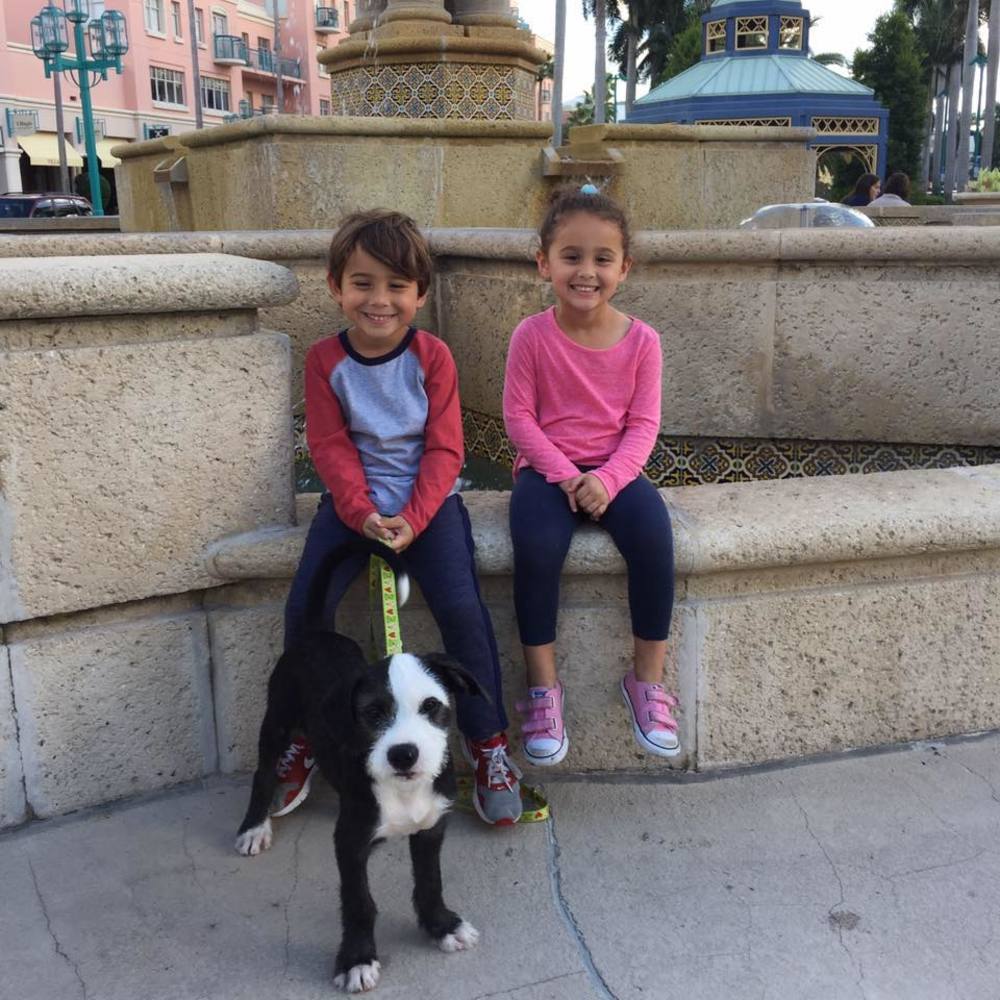 Meet your Posher, Lynn